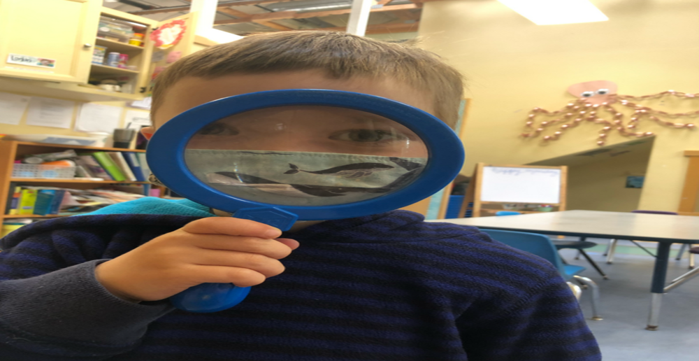 Child holding large blue magnifying glass close to face.